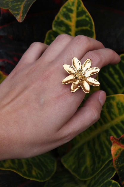 Fecenia Ring