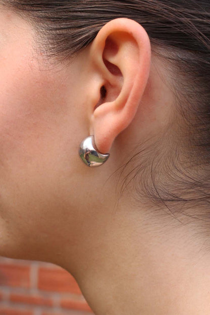 Coleutis Earrings